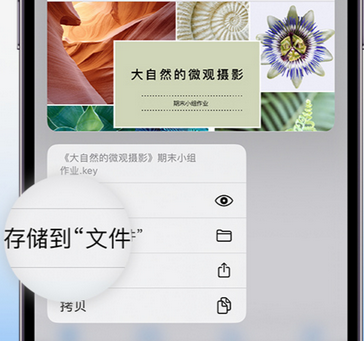 阜平apple维修中心分享iPhone文件应用中存储和找到下载文件