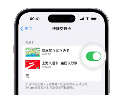 阜平apple维修点分享iPhone上更换Apple Pay快捷交通卡手绘卡面 