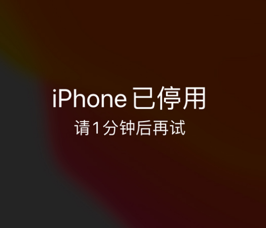 阜平苹果手机维修分享:iPhone 显示“不可用”或“已停用”怎么办？还能保留数据吗？ 