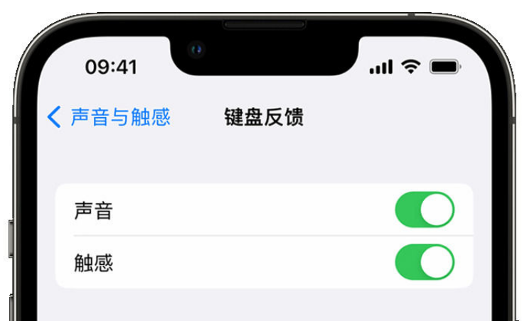 阜平苹果手机维修分享iPhone 14触感键盘使用方法 