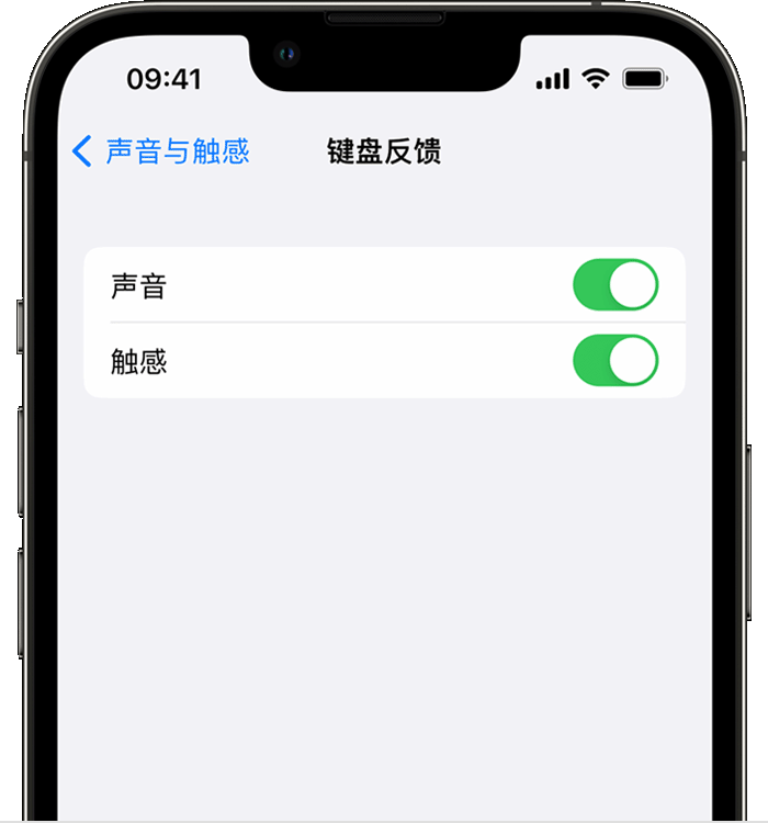 阜平苹果14维修店分享如何在 iPhone 14 机型中使用触感键盘 