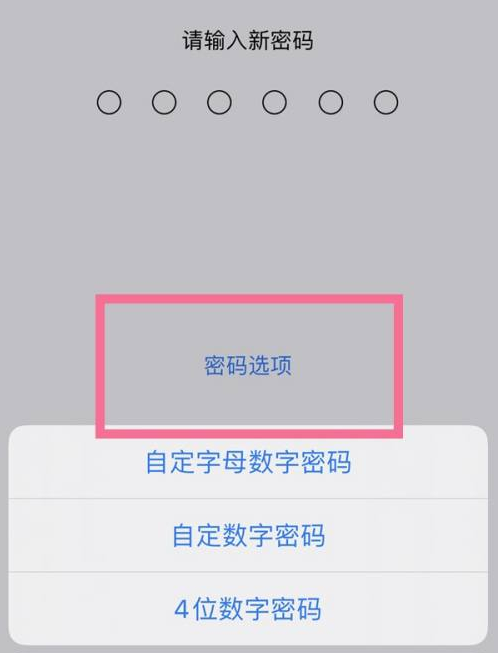 阜平苹果14维修分享iPhone 14plus设置密码的方法 