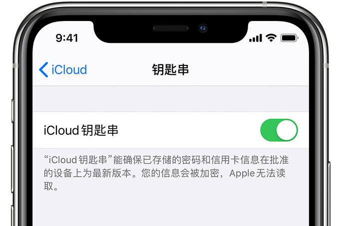 阜平苹果手机维修分享在 iPhone 上开启 iCloud 钥匙串之后会储存哪些信息 