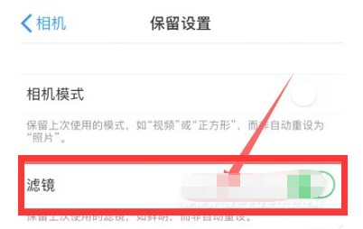 阜平苹果13维修分享iPhone13拍照有绿点是怎么回事 