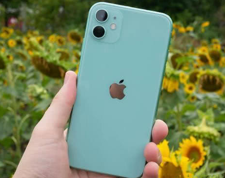 阜平苹果维修点分享iPhone 11锁屏密码认知与使用科普 